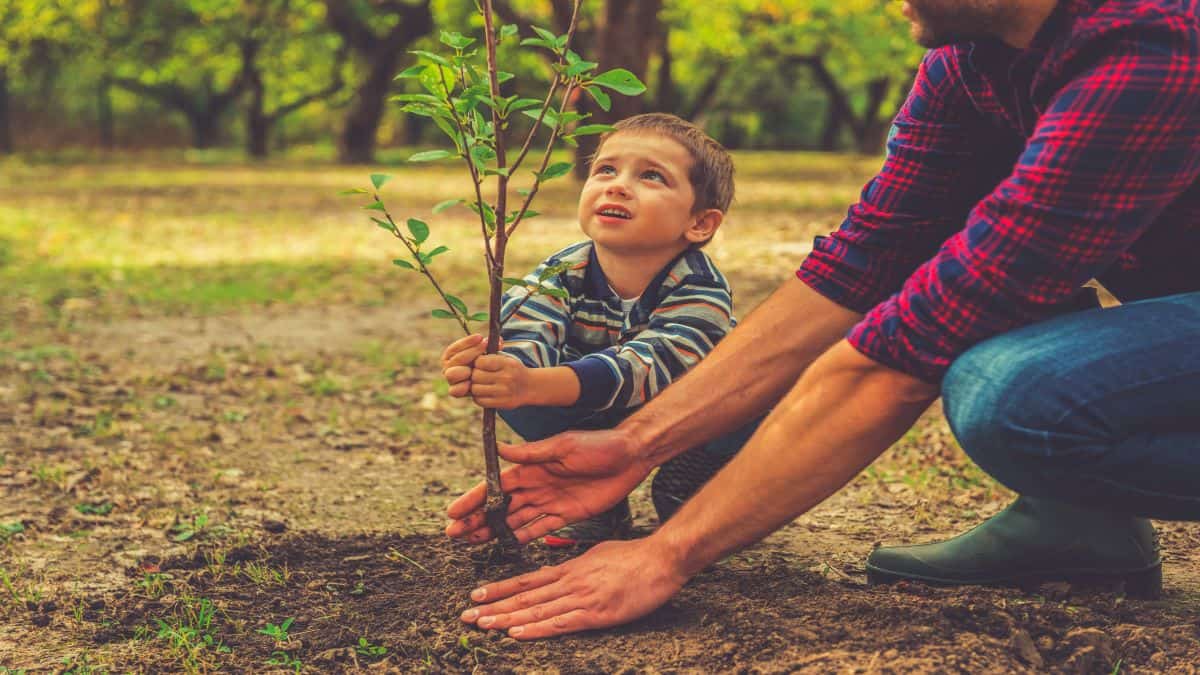 تعرف على الأسس التربوية الصحيحة في تأديب الأطفال