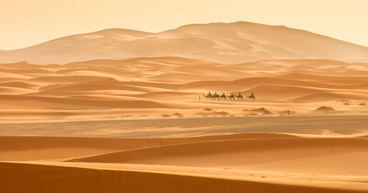 تعرف على عبد الرحمن بن عوف صاحب النبي